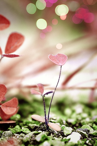 Quiet Moments: 5 Serene Scenes That Feel Like a Breath of Fresh Air