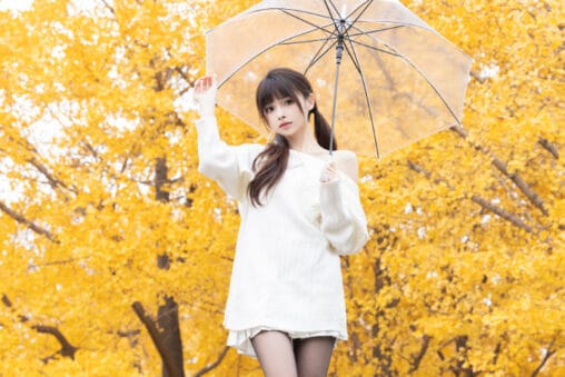 Hetun Nako holding a clear umbrella under golden ginkgo trees