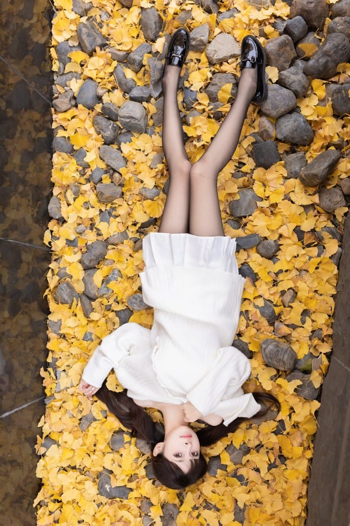 Top-down perspective of Hetun Nako lying on stone cobbles covered with yellow ginkgo leaves
